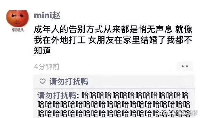 鱿鱼墨鱼乌贼八爪鱼章鱼的区别,墨鱼与鱿鱼章鱼八爪鱼有什么区别