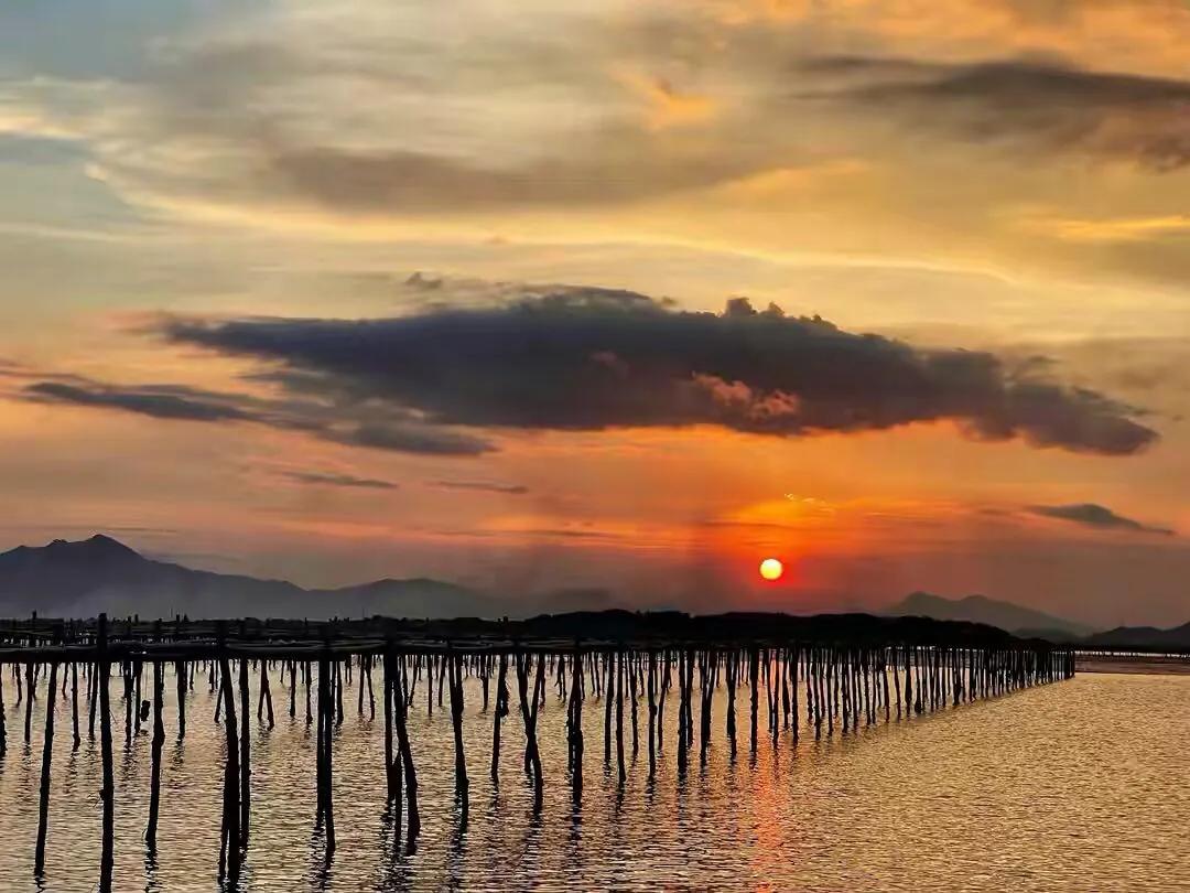 手拍世界-2021年09月各周最佳作品专集（总第716期）