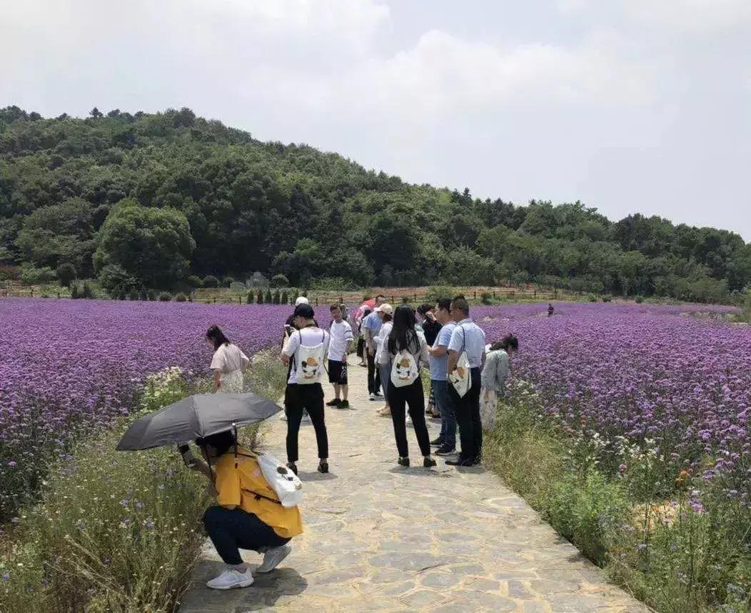 来，跟着“新高淳人”看高淳～