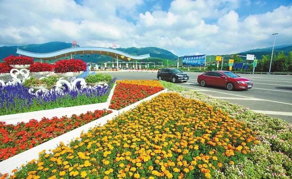 等一个人陪我去湛江,等一个人陪我去旅游