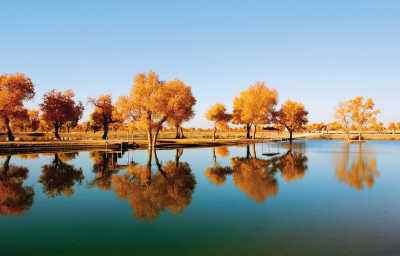 塔里木河出现断流现象的原因,塔里木河为啥断流