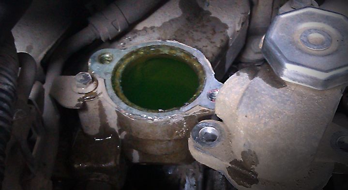 车没有防冻液可以加矿泉水吗,车上防冻液没了会怎么样