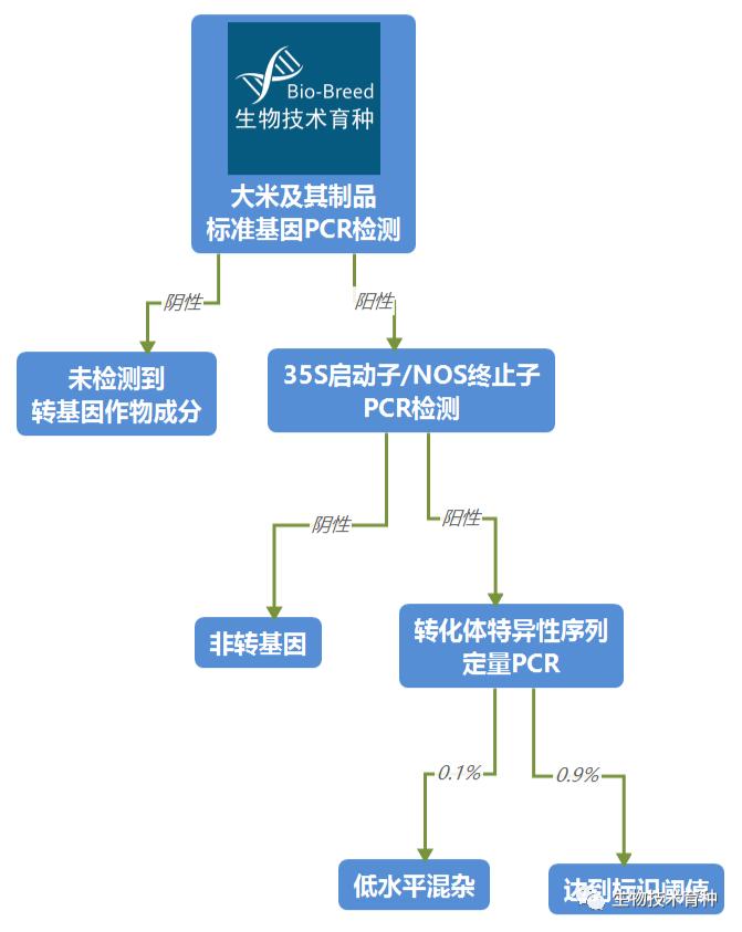 出口欧洲米制品被退货,多国大米禁止出口的原因