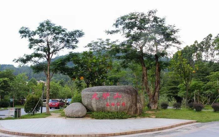 从城市到山林,从城市到田野