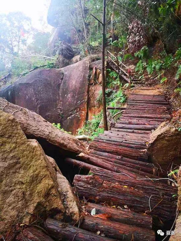 温州居然有这么美的小众景点,温州青龙山风景区在哪里