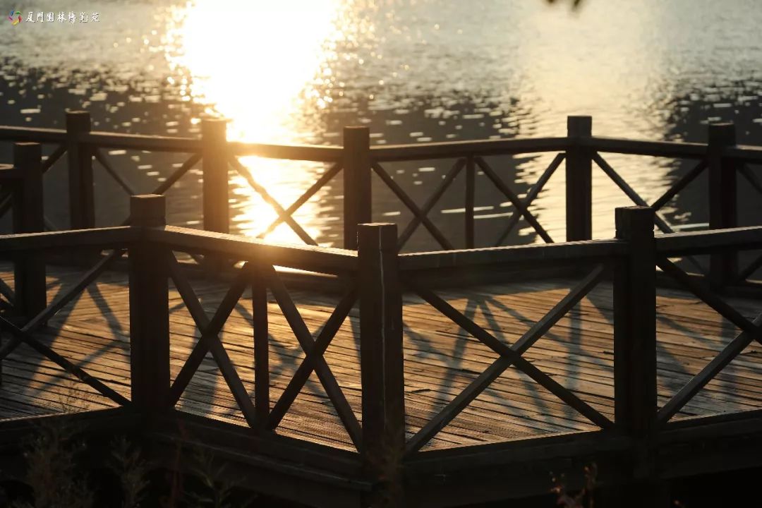 速来!园博苑有让*欲人**罢不能的季相变化之美,还有众多萌物陪伴你~