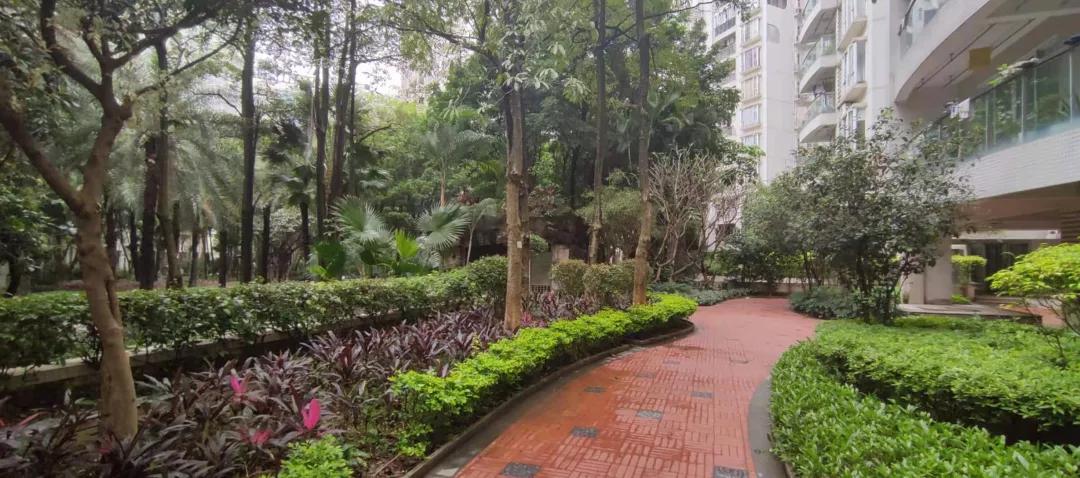 保利百合花园南区为啥便宜,海珠区保利红棉花园全景图