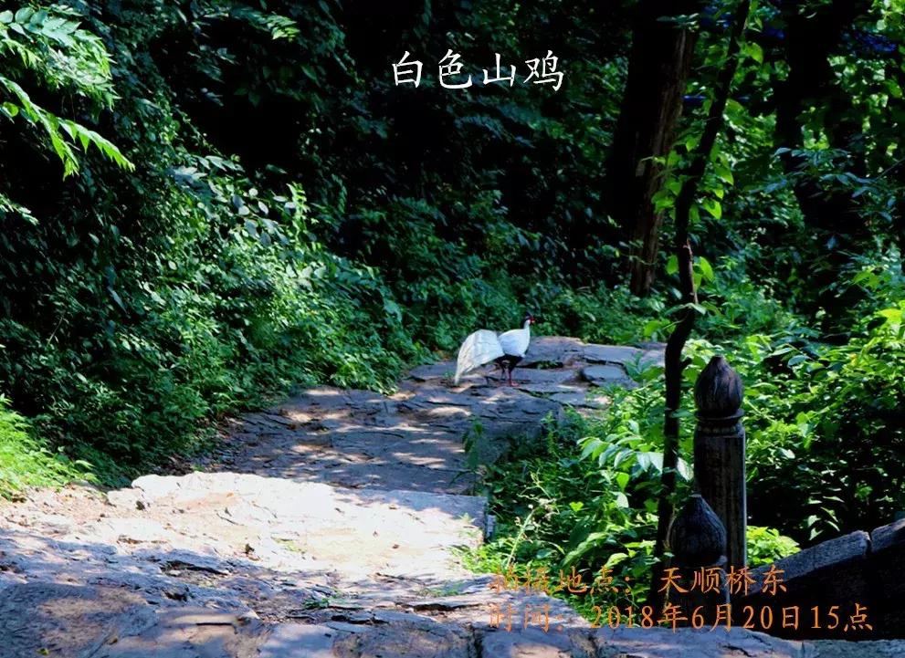 临朐石门坊风景区路线,临朐石门坊风景区