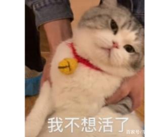 受同学刻意排挤和孤立了怎么办,因为不合群被霸凌