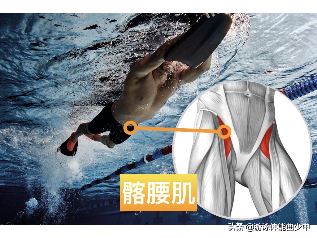 自由泳手臂僵硬紧绷怎么缓解,自由泳打腿腰是紧绷的吗