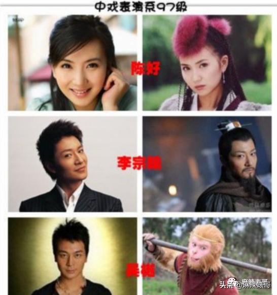 翟天临陈好,陈好演万人迷的时候多大