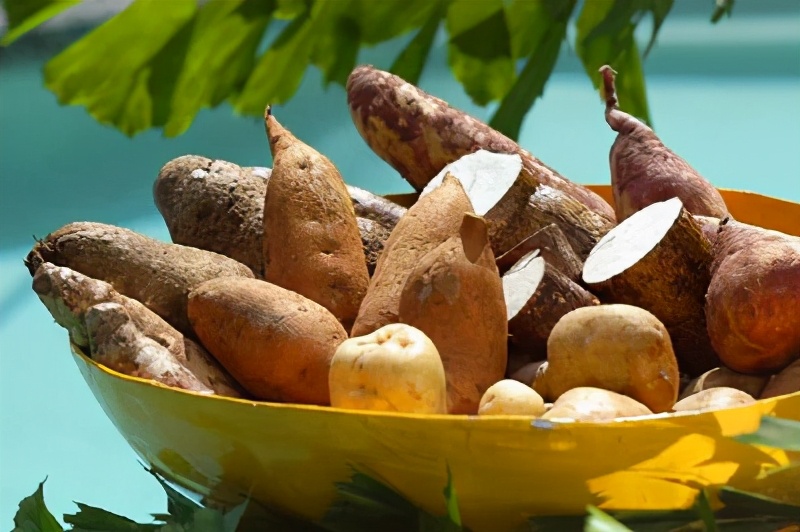 学生党减肥食谱,减肥期间减肥食谱