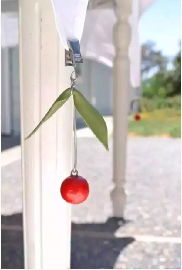 小小窗帘夹，功能竟如此强大！太实用了