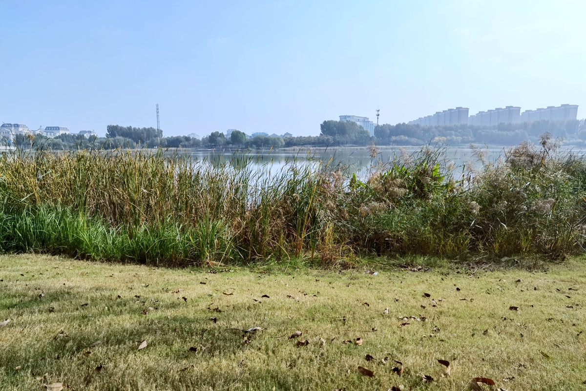 踏秋而行,踏秋而行原唱完整版