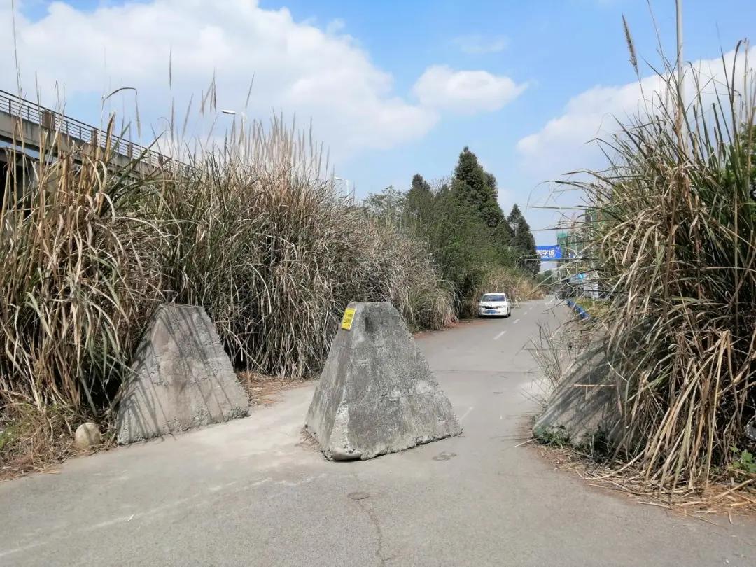 温江金马湖现状,金马湖烂尾楼在哪里