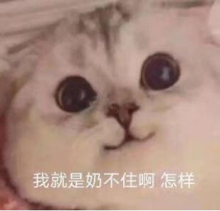 pvp奶妈内功,剑网三长歌奶妈pvp