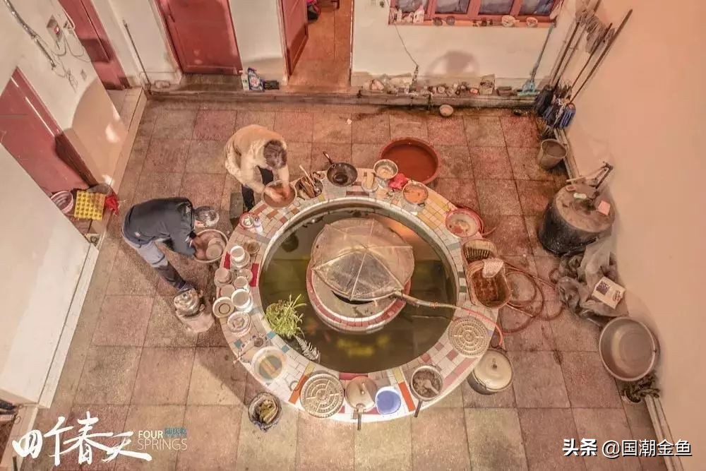 它曾是家家户户院里的“小宠儿”，那些时代是否已经一去不复返？