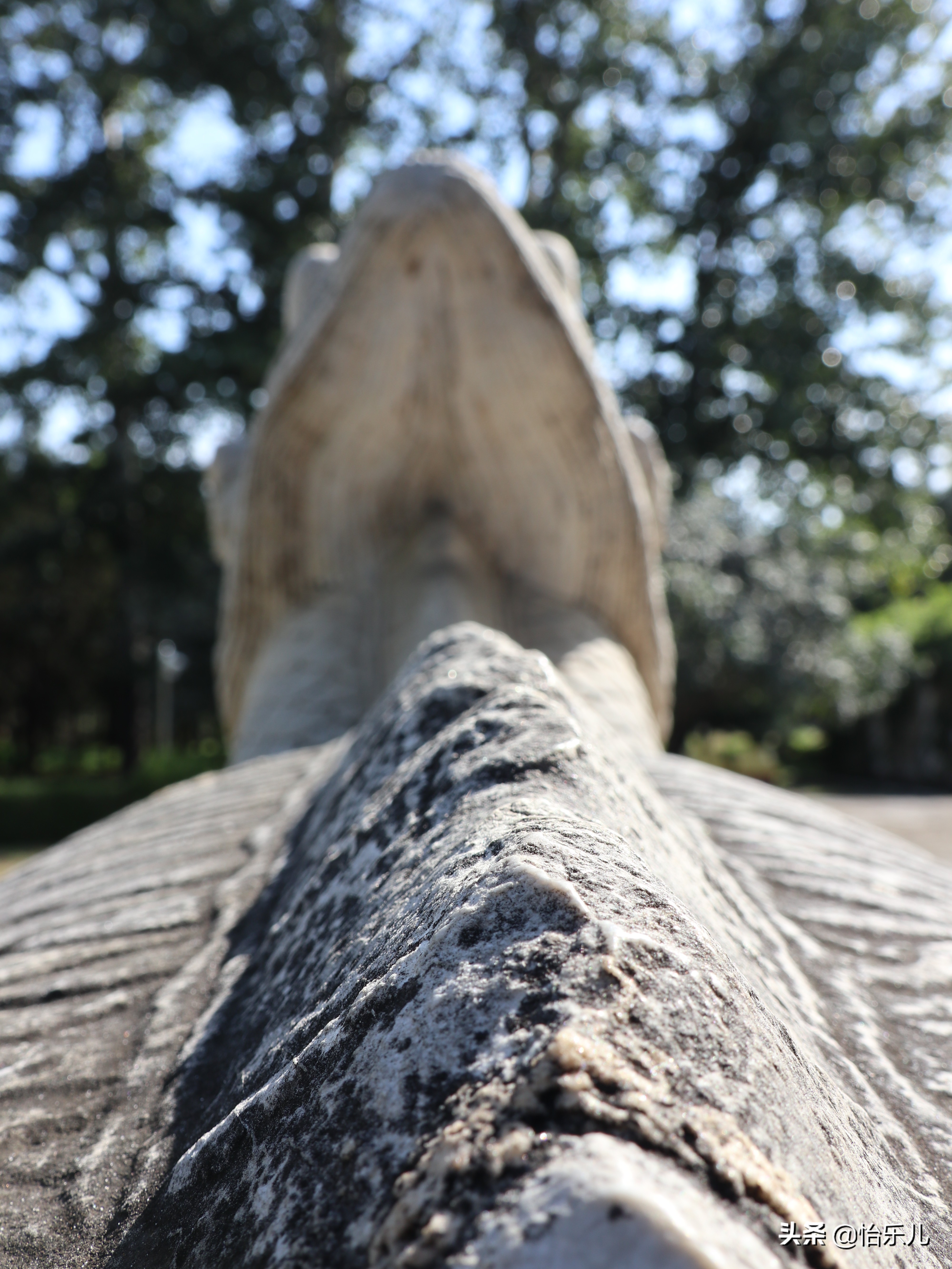 十三陵神路视频,十三陵神路传说