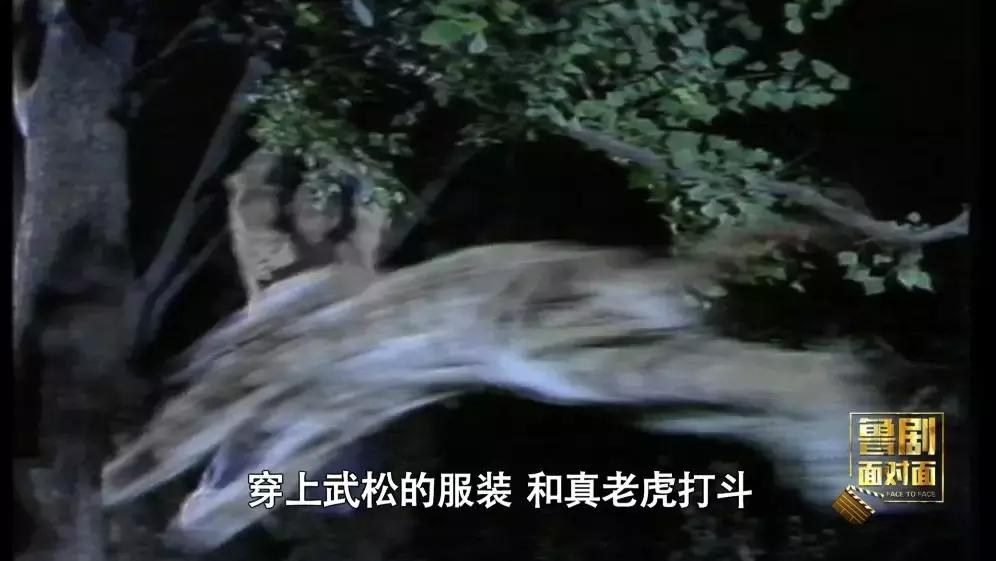 培根铸魂纪录片在线观看,面对面于漪培根铸魂