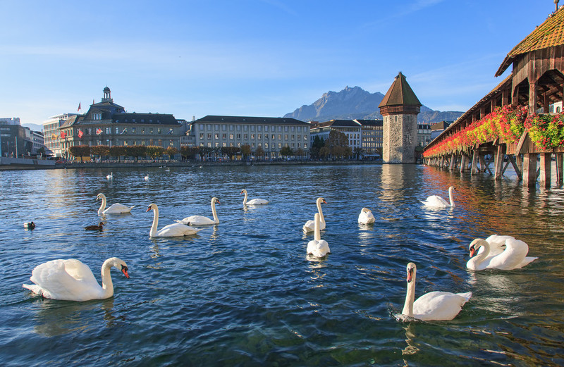 施华洛世奇有什么特别,施华洛世奇水漾魔力