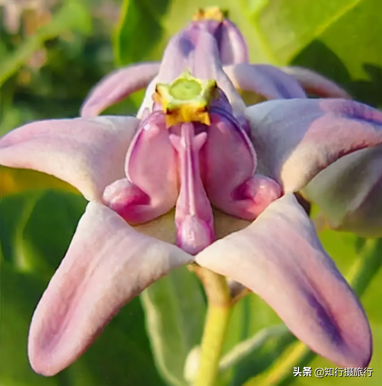 海南环岛自驾游免费景点,海南环岛自驾游游玩攻略