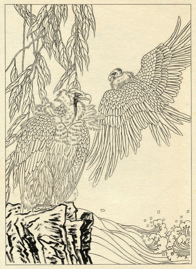 白描鹰技法基础入门,工笔画素材白描鹰图漂亮