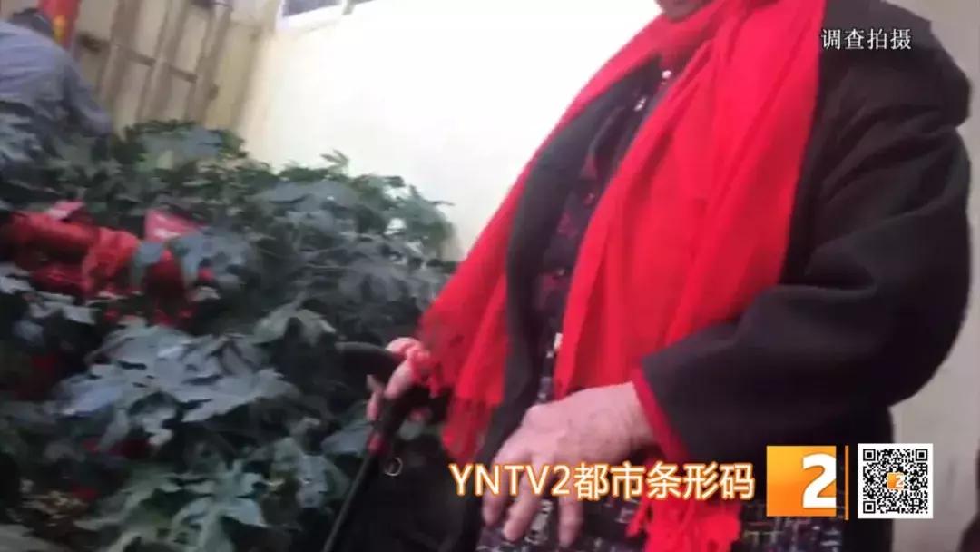 老人为什么买上万元床上四件套,老年人为什么买上万元床上四件套