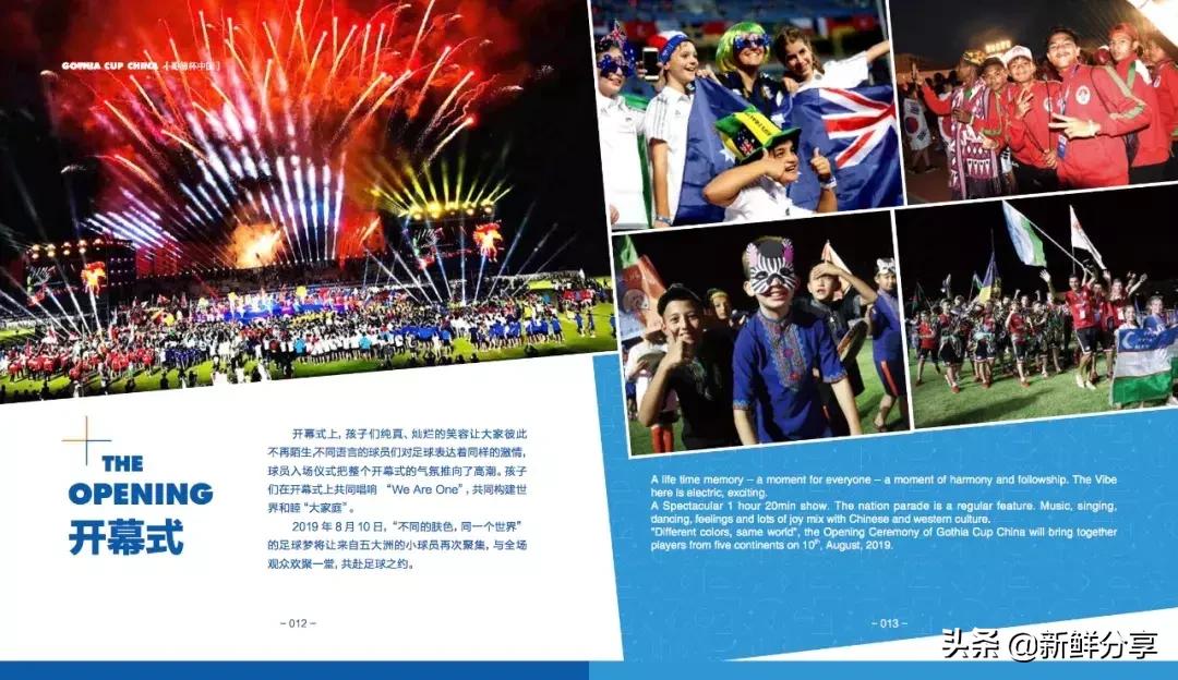 哥德杯世界青少年足球赛,国际青少年足球大赛在哪里举办