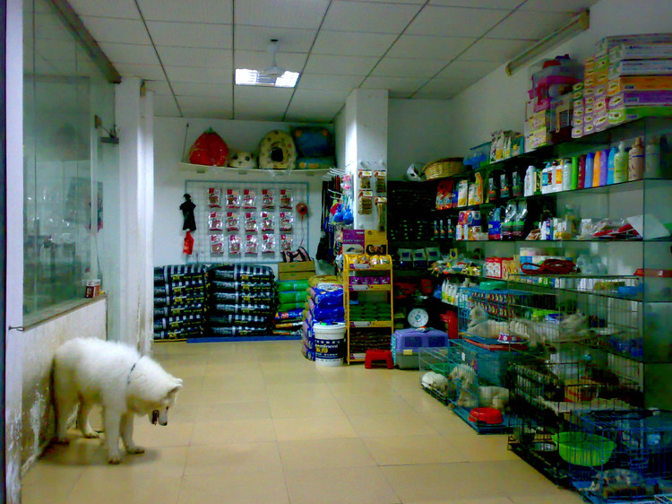 一站式宠物店装修案例欣赏,宠物店最新装修图片大全