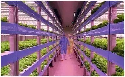 京东在全国多地建京东农场,京东农场最新建设