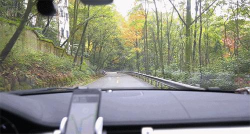 青城山熊猫谷都江堰一日游攻略,熊猫谷青城山都江堰一日游攻略