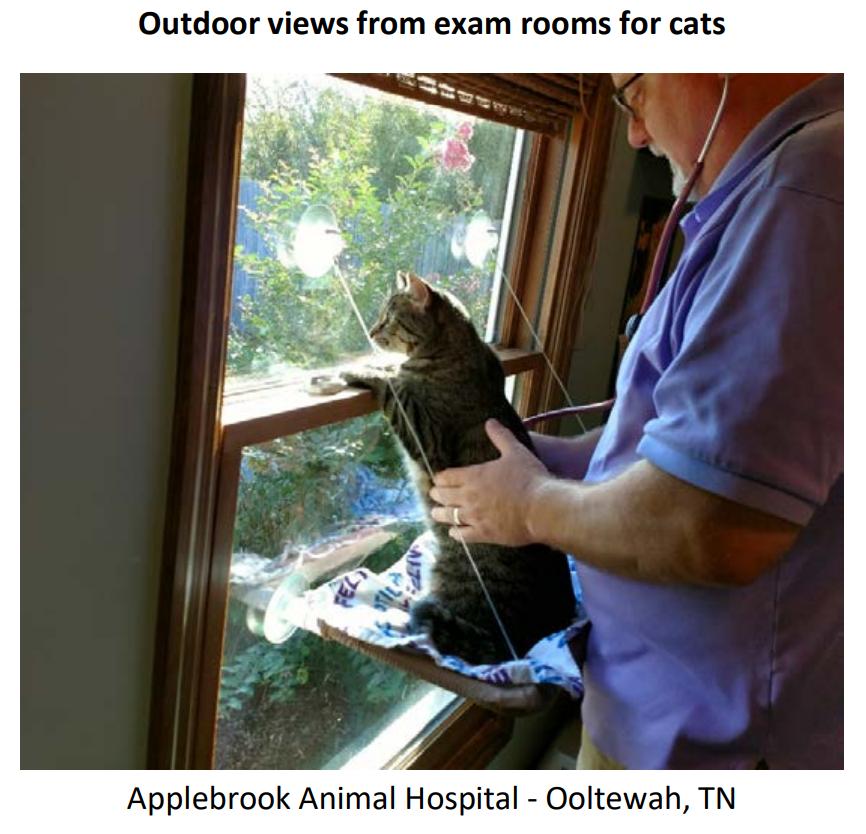 有什么方法可以防止猫狗进来,猫狗怕得什么病