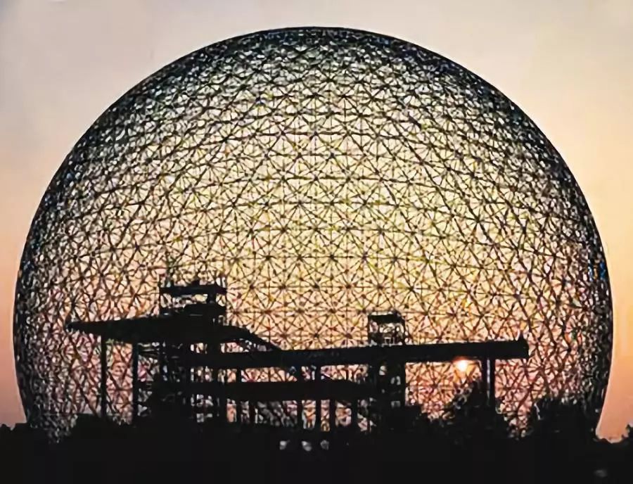 古生物大小和人类对比,古生物与人类对比大小