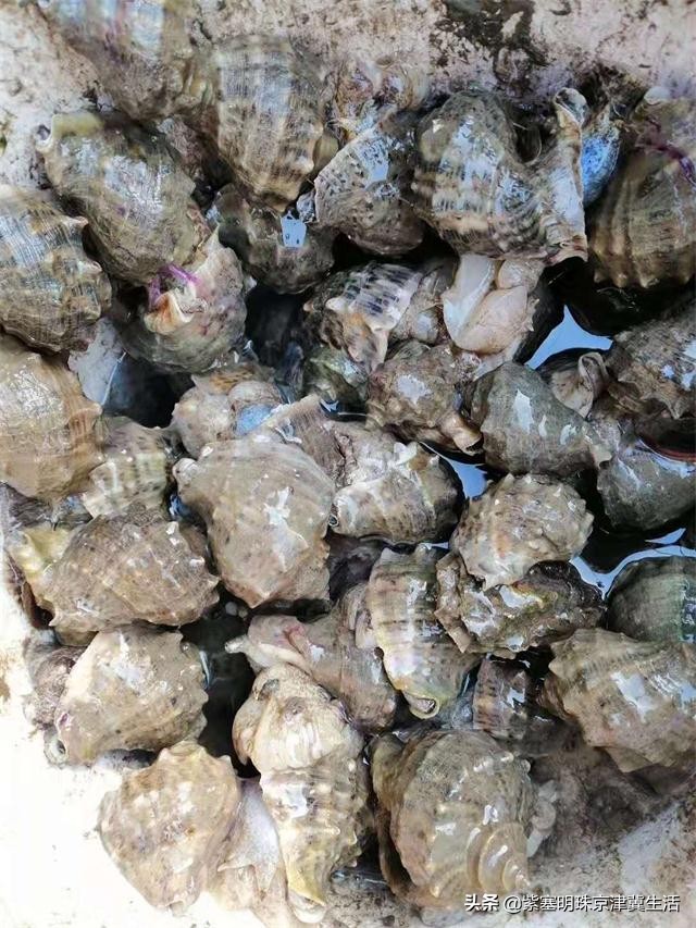 乐亭韩姐农家院价格,韩姐在乐亭农家最新视频