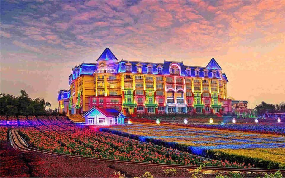 百万葵园怎么游玩才能满足,百万葵园攻略一日游图片