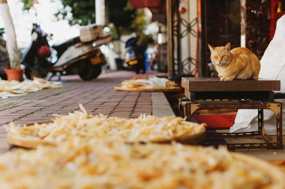 吃为人生第一大事，跟着周刊走近祖国各地的年夜饭吧