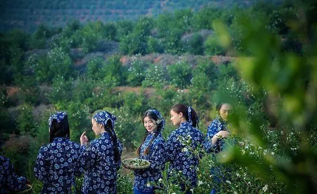 冷美人保湿精华,国货好物润肤保湿