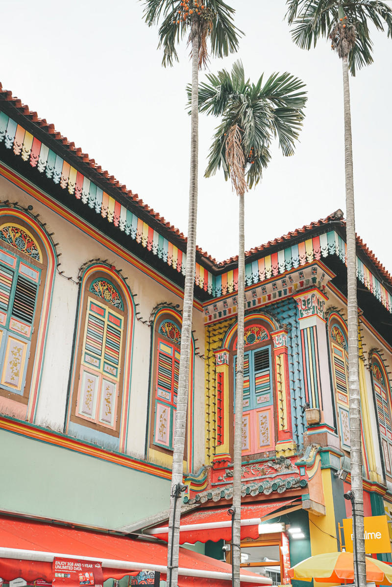 一人一猫环游,一人一猫旅行