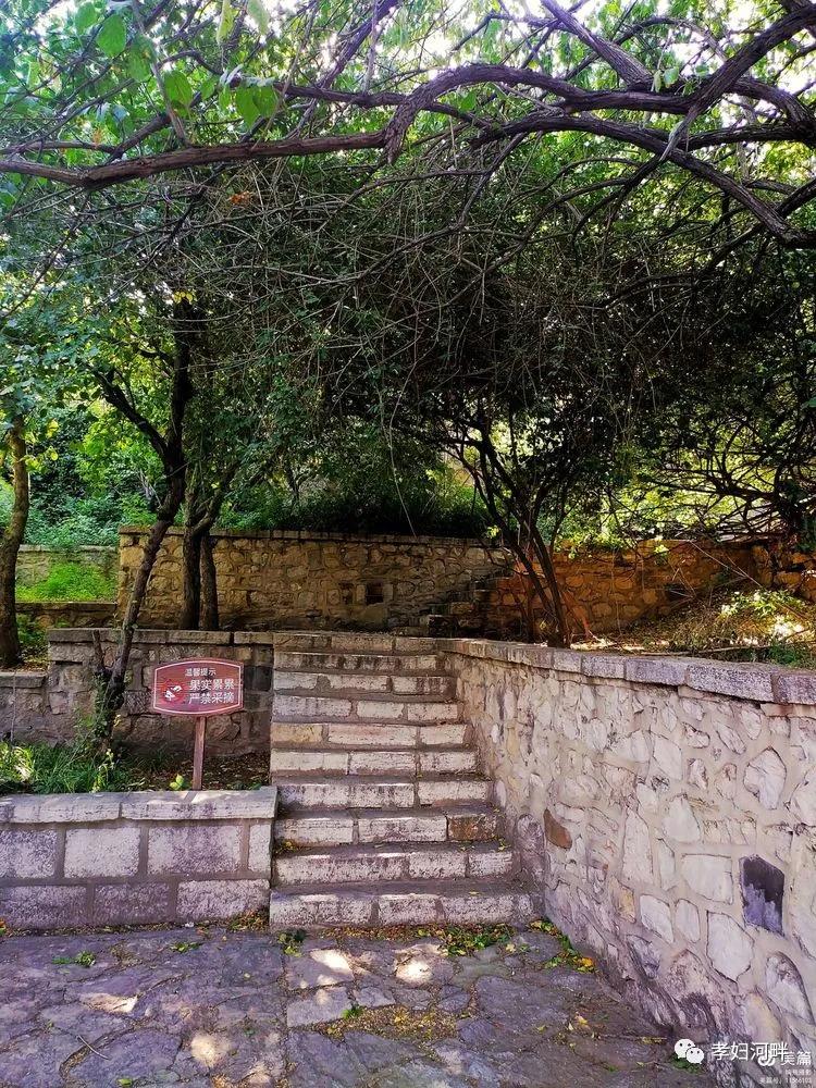 博山初夏风景图片,在博山公园藏着独特的宁静