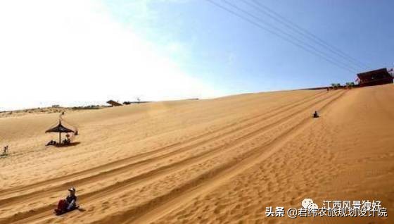 鄱阳湖候鸟保护区站长是谁,鄱阳湖候鸟江西都昌县