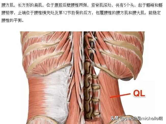 怎么缓解孕中期后背疼,孕期快速缓解背痛的方法