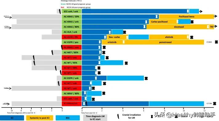 pd-1治疗肝癌肺转移,肺癌脑转移pd1可以打吗