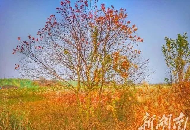 湘潭国家森林城市,湘潭十大国家公园