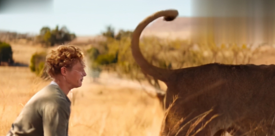 去非洲草原，要怎么做，才能不被狮子吃掉？