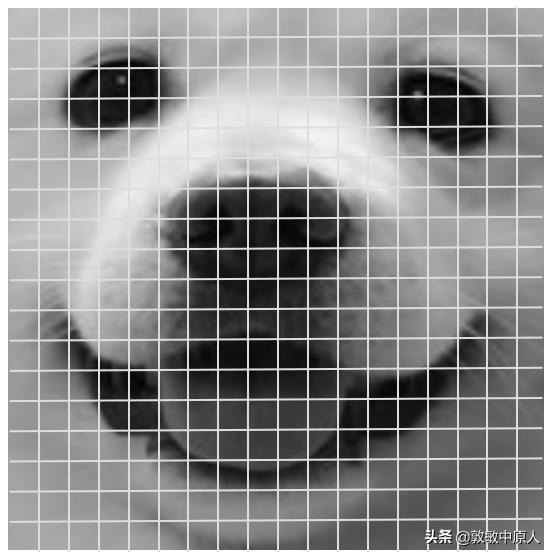 零基础学习ai视频,从零基础掌握AI论文实验分析