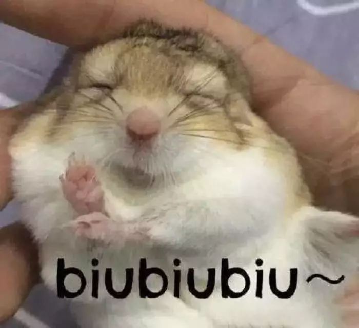 四十岁女人最适合的口红色号,口红最不易掉色的品牌