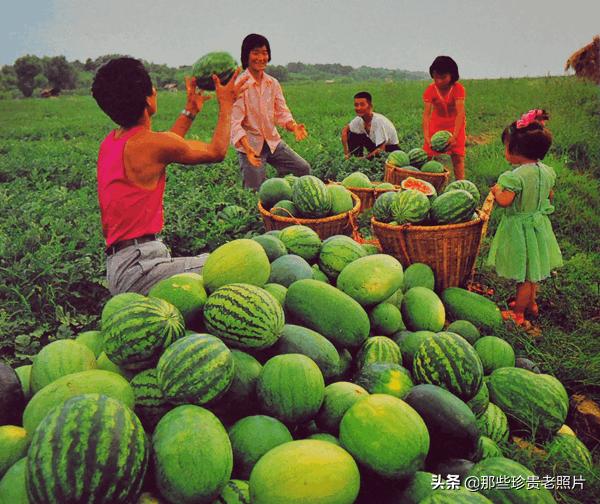 武汉1940老照片,武汉30张老照片