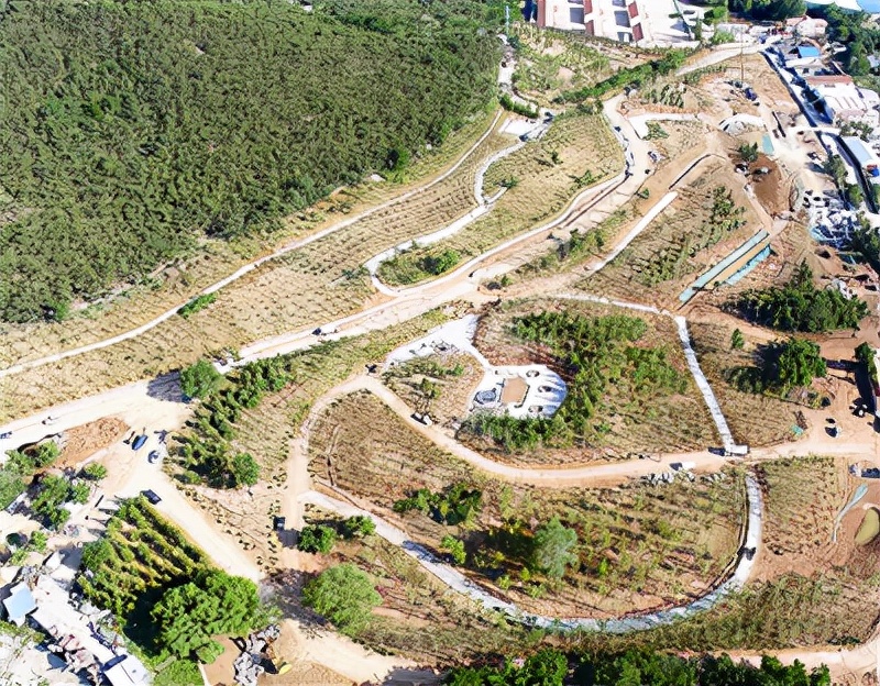 青岛违建拆除最新消息,青岛专业拆除砸墙市北区