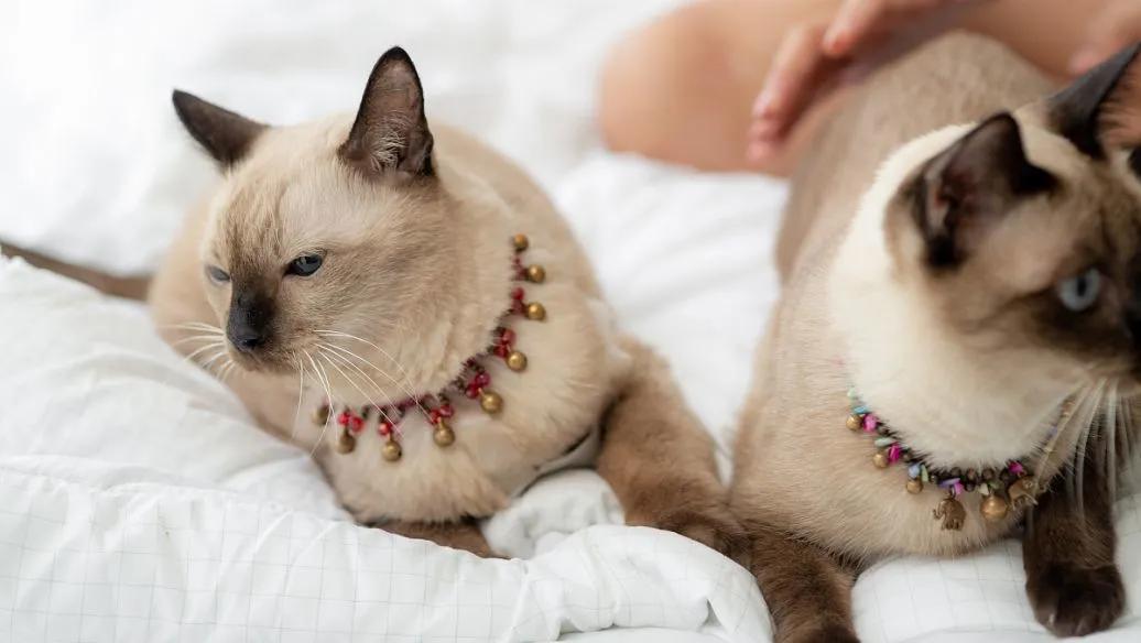 过敏性鼻炎太难缠？教你3个简单方法