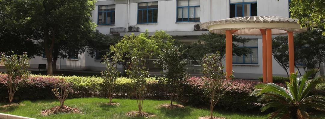 四星高中本科录取率是多少,四星高中2019